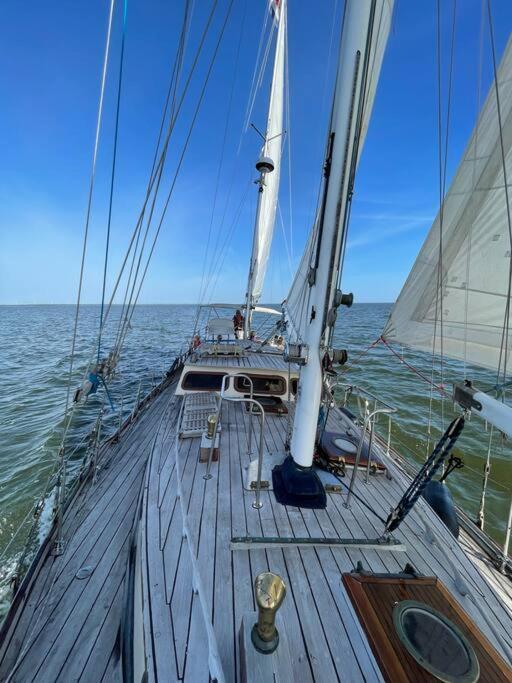 Classic Sailing Ship In Center Of Enkhuizen! Exterior foto